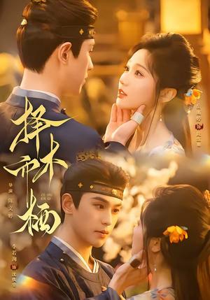 《择木而栖(84集)李若洵&岳雨婷(1080P)(夸克网盘)》短剧封面