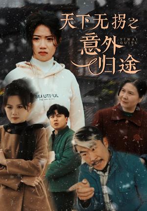 天下无拐之意外归途（61集）高洁慧（夸克网盘） - 社会短剧封面