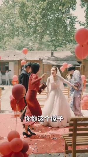 终会遇见你（66集）（夸克网盘）封面图 - 短剧短剧
