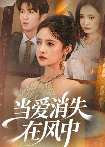当爱消失在风中（73集）吴梦媛＆宋骏（百度网盘）封面图 - 爱情短剧