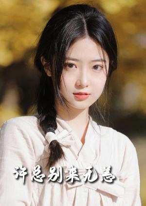 许总别来无恙（50集）邢航铭（夸克网盘）封面图 - 短剧短剧
