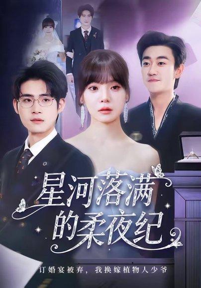 星河落满的柔夜纪（88集）邹梓豪＆王一晴（百度网盘）封面图 - 爱情短剧