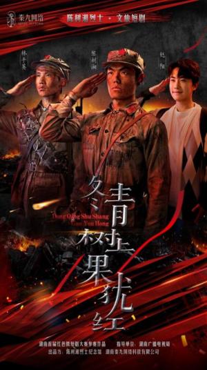 冬青树上果犹红（9集）张懋&夏天琪（夸克网盘）封面图 - 古装,剧情短剧