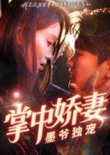 掌中娇妻墨爷独宠（30集）棠夏&庞冉封面图 - 爱情短剧