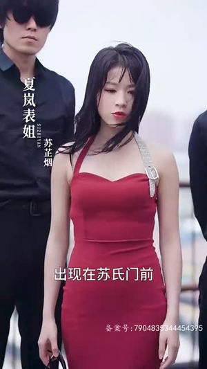 《岚”风知我意(38集)》短剧封面