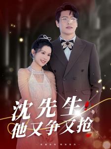 沈先生他又争又抢（40集）黄佳轩＆邓梦奕（夸克网盘）封面图 - 都市短剧