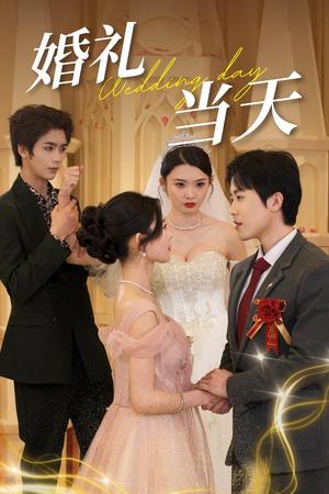 婚礼当天（30集）（夸克网盘）封面图 - 都市短剧