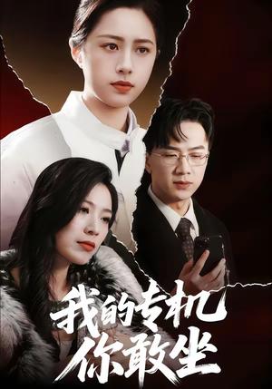 我的专机你敢坐（62集）王婧琦＆周家洪（夸克网盘）封面图 - 都市短剧
