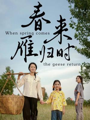 春来雁归时（61集）（夸克网盘）封面图 - 短剧短剧