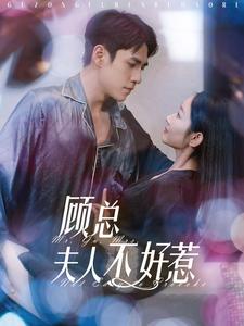 顾总夫人不好惹（80集）张添景＆孟嘉鑫（夸克网盘）封面图 - 甜宠短剧