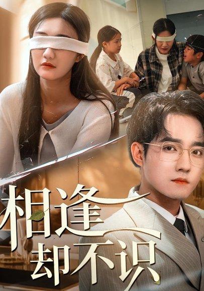相逢却不识（77集）封面图 - 剧情短剧