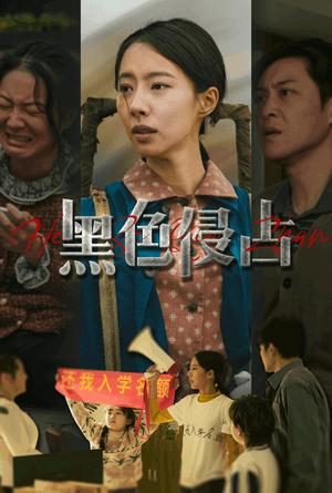 黑色侵占（35集）苏嘉欣（夸克网盘）封面