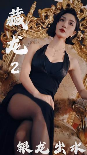 藏龙2银龙出水（35集）（夸克网盘）封面图 - 武侠短剧