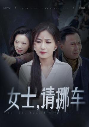 女士请挪车＆善门难开（29集）张祥玥（夸克网盘）封面图 - 短剧短剧