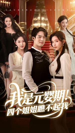 我是元婴期！四个姐姐瞧不起我（73集）韩傲天（夸克网盘）封面图 - 短剧短剧
