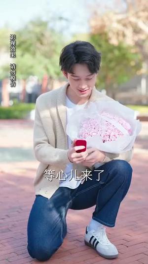 风华尽敛为谁藏（60集）（夸克网盘）封面