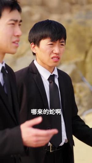 重生成蛇我气哭富二代（66集）何索＆梁三恩（夸克网盘）封面图 - 短剧短剧