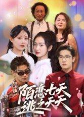 陌恋七天：逃之夭夭（33集）陈梓龙（百度网盘）封面图 - 爱情短剧