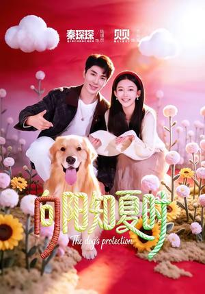 向阳知夏时（80集）秦琛琛＆贝贝（夸克网盘）封面图 - 短剧短剧