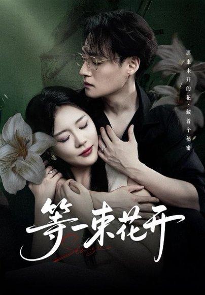 等一束花开（71集）安敏&强宇封面图 - 情感短剧