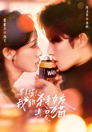 别摸！我的杀手女友是只猫（60集）陈名豪＆曹赛亚（夸克网盘）封面图 - 玄幻短剧