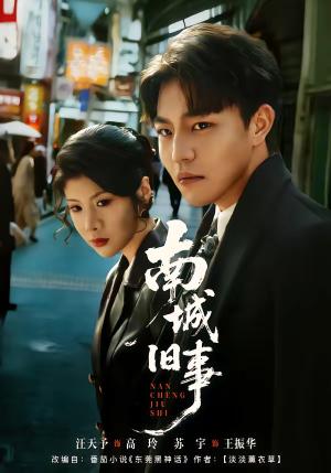 南城旧事（80集）苏宇＆王天予（夸克网盘）封面图 - 都市短剧
