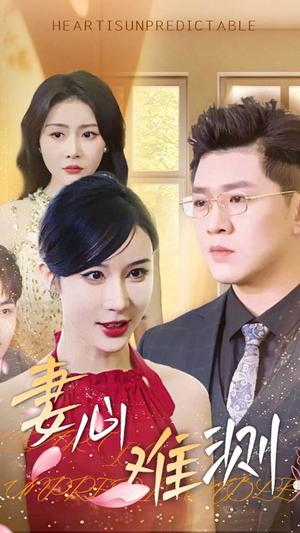妻心难测（33集）林彤（夸克网盘） - 婚姻伦理短剧封面