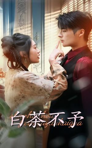 白茶不予（68集）潘欣懿&段美洋（夸克网盘）封面