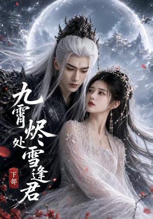 九霄烬处雪逢君下部(43集)(夸克网盘) 九霄烬处雪逢君下部(43集)(夸克网盘)封面