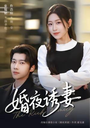 婚夜诱妻（70集）张韫韬＆仵浩瑄（夸克网盘）封面图 - 都市短剧