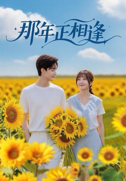 《那年正相逢》短剧封面