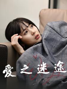 爱之迷途（42集）（夸克网盘）封面图 - 情感短剧