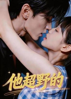 他超野的（22集）（夸克网盘）封面
