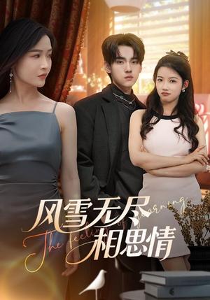 风雪无尽相思情（61集）李珊&詹琸（夸克网盘）封面