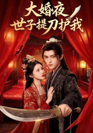 大婚夜，世子提刀护我（53集）（夸克网盘）封面
