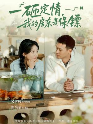 一砸定情，我的房东是保镖（70集）柴吴辰&吴伊纯（夸克网盘）封面图 - 短剧短剧