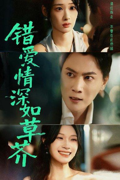 错爱情深如草芥 错爱情深如草芥封面