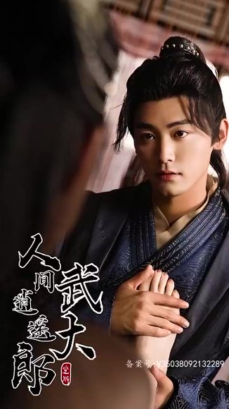 擦边剧：人间逍遥武大郎封面