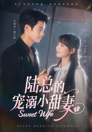 陆总的宠溺小甜妻(61集)纪俊良&吕丹妮(夸克网盘) 陆总的宠溺小甜妻(61集)纪俊良&吕丹妮(夸克网盘)封面