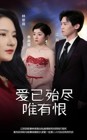 爱已殆尽唯有恨（61集）（夸克网盘）封面图 - 情感复仇短剧