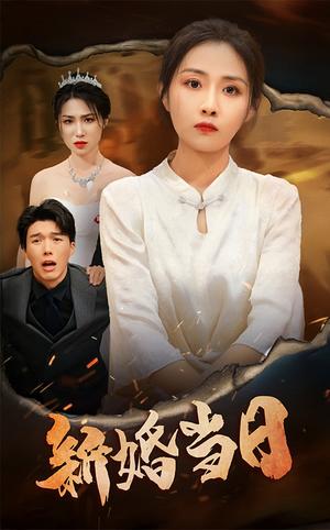 新婚当日（38集）（夸克网盘）封面图 - 爱情短剧