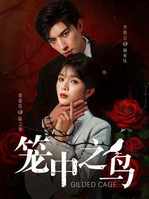 笼中之鸟（70集）李柏言＆郭馨钰封面图 - 都市短剧