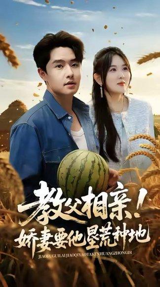 教父相亲娇妻要他垦荒种地（58集）梁继镭&翟兆星&霍豆豆封面图 - 喜剧短剧