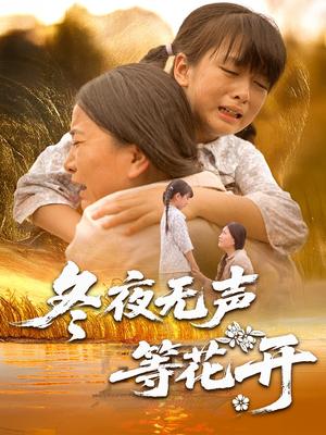 冬夜无声等花开（80集）安敏&王珊珊（夸克网盘）封面图 - 短剧短剧