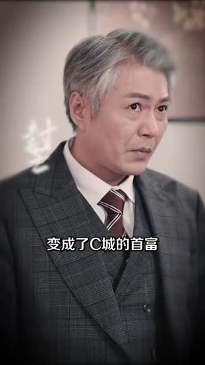 家族暗战（83集）王慧龙＆张灿&陈文君（夸克网盘）封面图 - 年代短剧