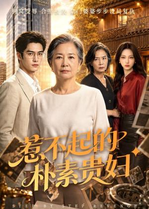 112-惹不起的朴素贵妇（60集）AI短剧（夸克网盘）封面