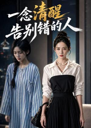 一念清醒，告别错的人（19集）（夸克网盘）封面