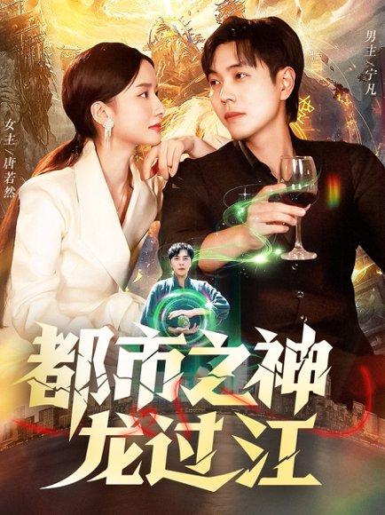 都市之神龙过江封面
