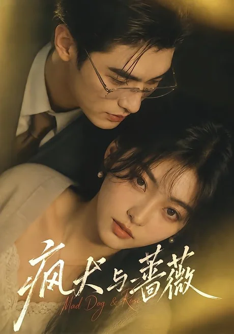 《疯犬与蔷薇（48集）（夸克网盘）》短剧封面