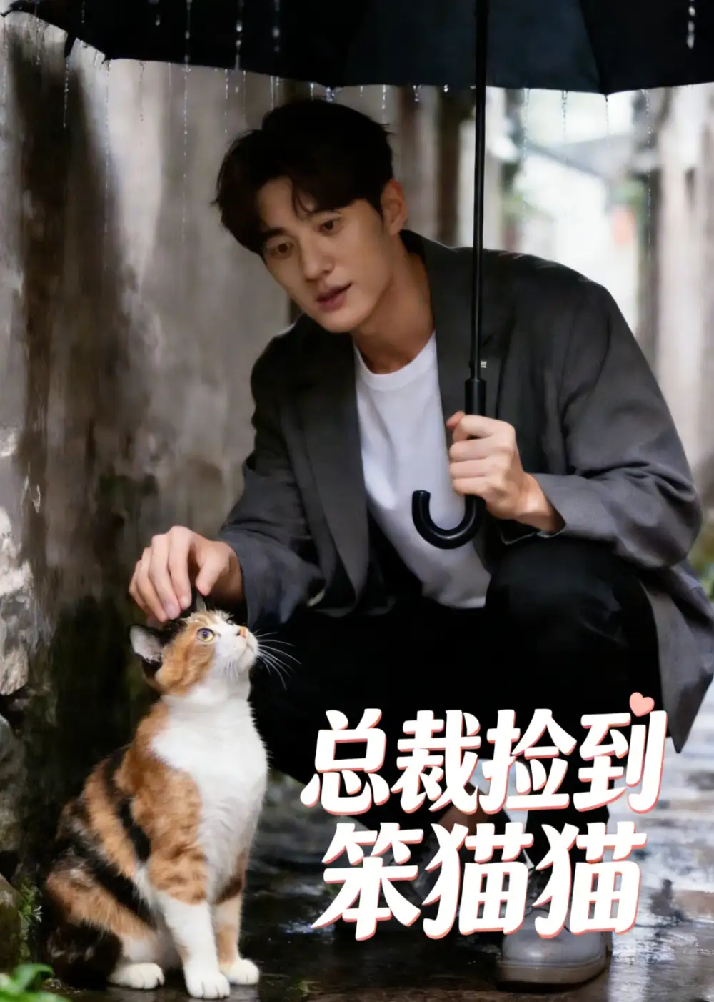 《总裁捡到笨猫猫（41集）AI短剧 (2026)》短剧封面